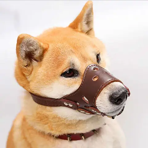 Công Dụng Và Ưu Điểm Của Sản Phẩm: