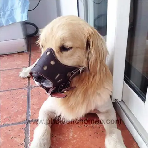 Rọ Mõm Chó Có Sủa Được Không