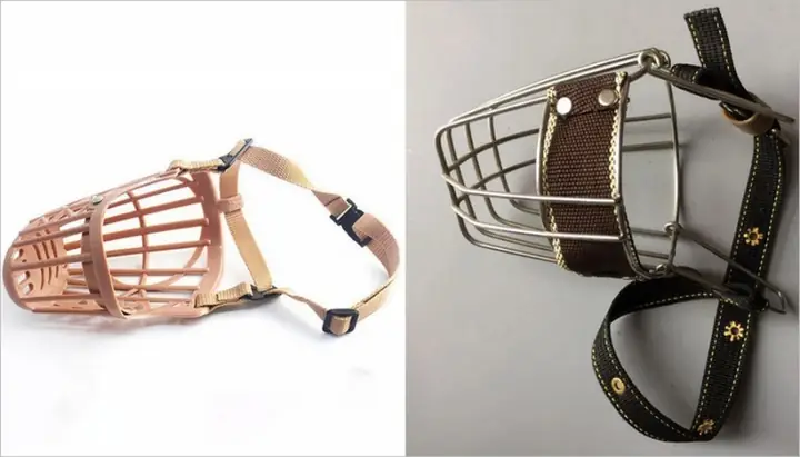 Các Loại Rọ Mõm Cho Chó Trung Quốc Phổ Biến Trên Thị Trường