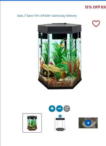 Rong Giả Hồ Cá: Lựa Chọn Thông Minh Cho Bể Cá Của Bạn ...