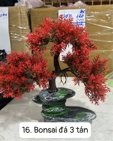 Rong Nhựa Trang Trí Bể Cá Rẻ Đẹp