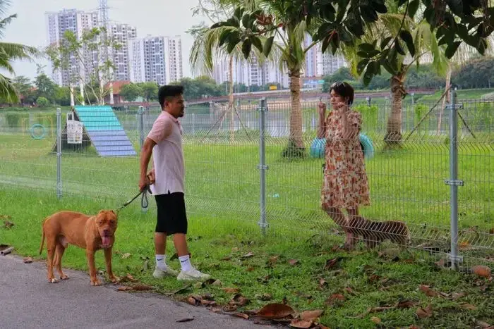 Tiêu Chí Lựa Chọn Sân Chơi Cho Chó Tại Hà Nội