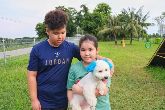 Khám Phá Top 7 Sân Chơi Cho Chó Nổi Bật Tại Hà Nội