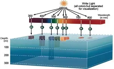Đồ Thị Ánh Sáng Orphek