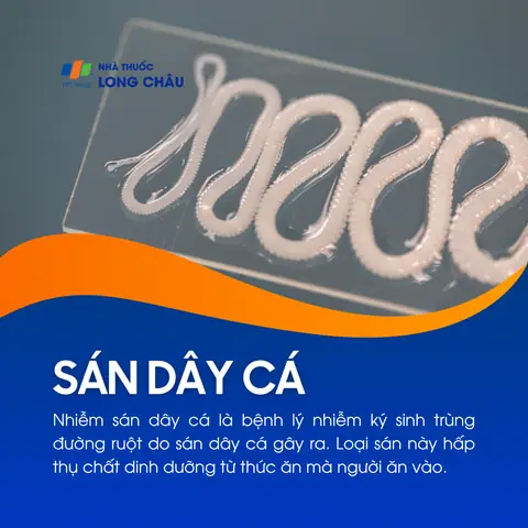 Nhiễm Sán Dây Cá: Nguyên Nhân, Triệu Chứng Và Cách Phòng Ngừa ... Nhiễm Sán Dây Cá: Nguyên Nhân, Triệu Chứng Và Cách Phòng Ngừa ...