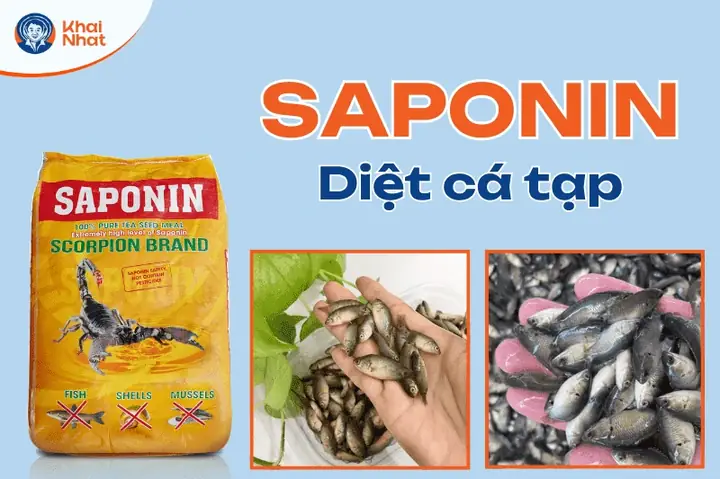 Tiêu Diệt Cá Tạp Hiệu Quả