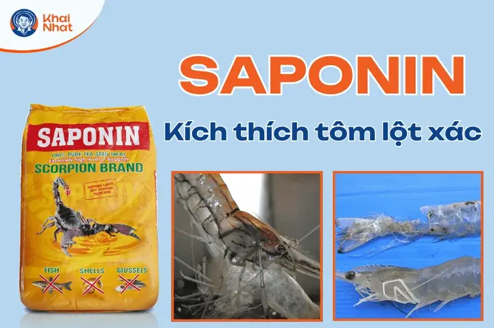 Kích Thích Tôm Lột Xác Và Phát Triển Tốt