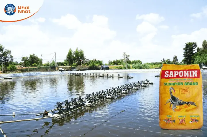 Những Vấn Đề Lưu Ý Khi Dùng Saponin