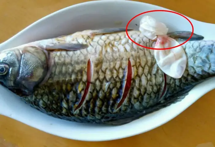 Bộ Phận Đắt Nhất Của Con Cá “sánh Ngang” Với Tổ Yến, Người Việt ...