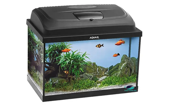 Bể Cá Mini Aquael Classic Oval Aquarium Set 40