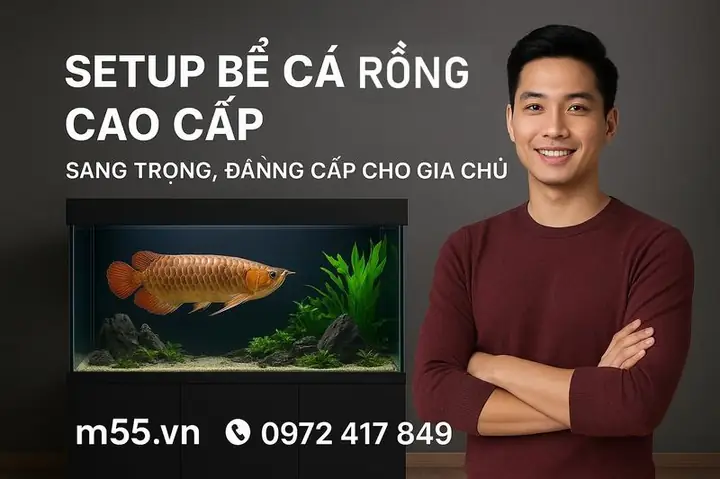 Cá Rồng Là Loài Phong Thủy Quý Hiếm