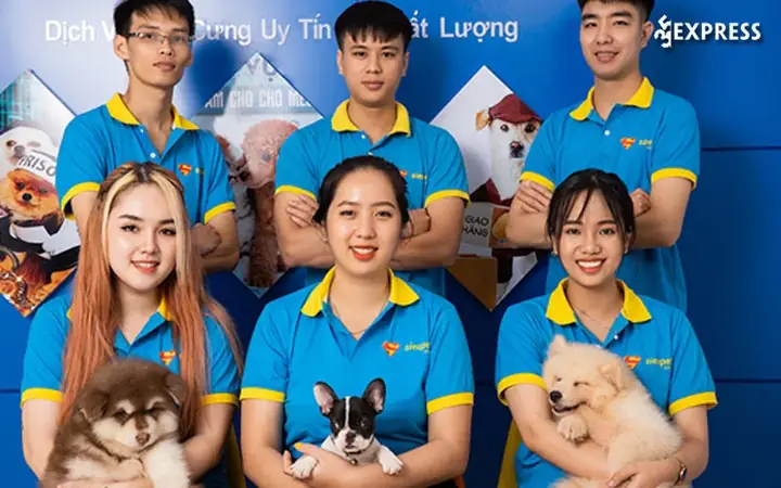 Siêu Pet – Shop Bán Chó Pug Mini Đẹp Tại Tphcm Siêu Pet – Shop Bán Chó Pug Mini Đẹp Tại Tphcm