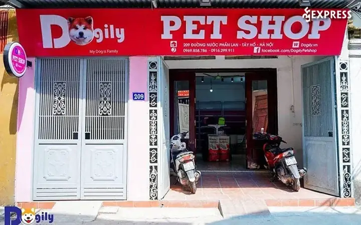 Dogily Petshop – Cửa Hàng Bán Chó Pug Mini Tại Tphcm Dogily Petshop – Cửa Hàng Bán Chó Pug Mini Tại Tphcm
