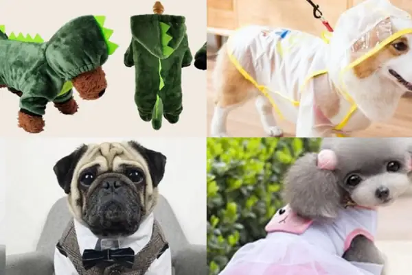 Công Dụng Của Quần Áo Cho Chó Mèo