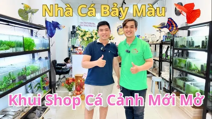 Khám Phá Thế Giới Aquarium Bình Dương: Địa Chỉ Uy Tín Cho Người Yêu Cá Cảnh Khám Phá Thế Giới Aquarium Bình Dương: Địa Chỉ Uy Tín Cho Người Yêu Cá Cảnh