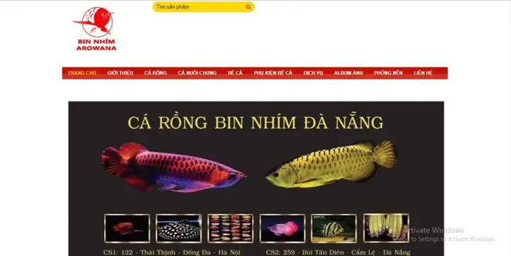 Shop Cá Rồng Bin Nhím Arowana: Bí Mật Giống Cá Độc Lạ Gây Sốt