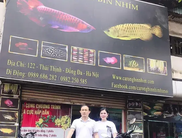 Shop Cá Rồng Bin Nhím Arowana: Bí Mật Giống Cá Độc Lạ Gây Sốt