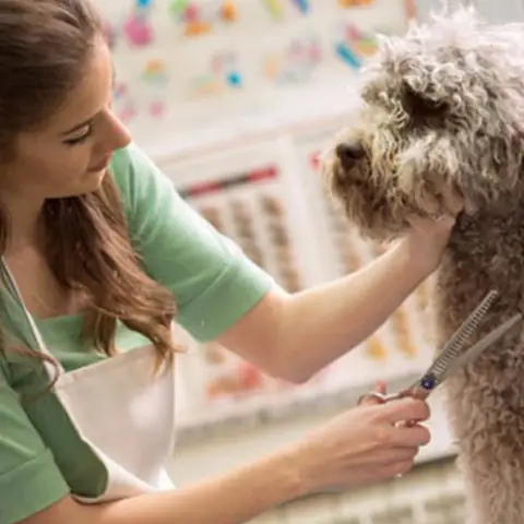 Lựa Chọn Nơi Mua Có Nhân Viên Tư Vấn Nhiều Chuyên Môn