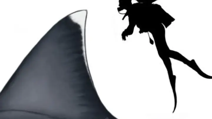 Siêu Cá Mập Khổng Lồ Megalodon