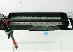 Sơ Đồ Hệ Thống Lọc Bể Cá Rồng