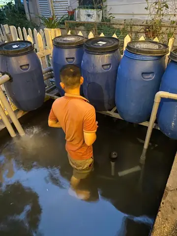 / Sơ Đồ Hệ Thống Lọc Thùng Nhựa Rời Hồ Cá Koi