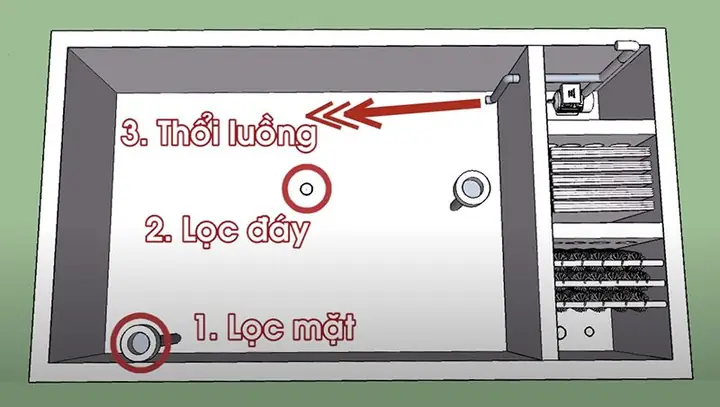 Nguyên Lý Hoạt Động Hệ Thống Lọc Hồ Koi Nguyên Lý Hoạt Động Hệ Thống Lọc Hồ Koi