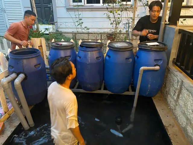 / Sơ Đồ Hệ Thống Lọc Thùng Nhựa Rời Hồ Cá Koi / Sơ Đồ Hệ Thống Lọc Thùng Nhựa Rời Hồ Cá Koi