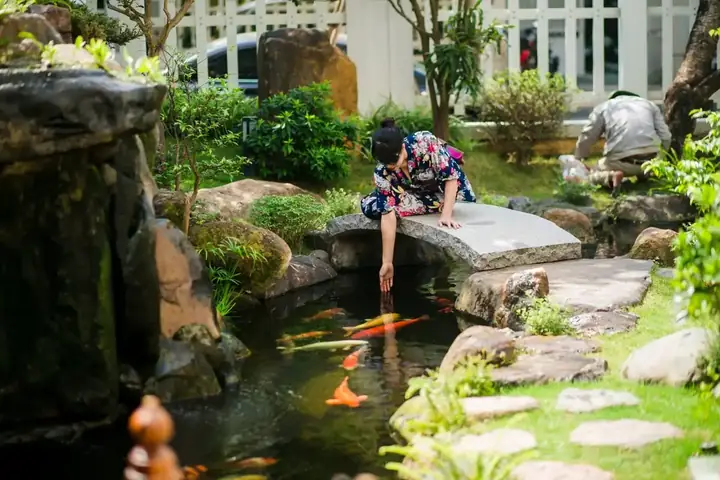 Nuôi Cá Koi Theo 9 Phi Tinh (cửu Tinh)