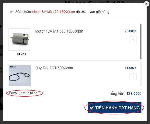 Sò Nóng Lạnh Cho Bể Cá Sò Nóng Lạnh Cho Bể Cá