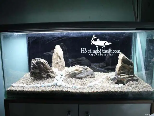 Sỏi Trắng Hồ Cá: Toàn Cảnh Từ A-z Về Vật Liệu Trang Trí & Làm Sạch