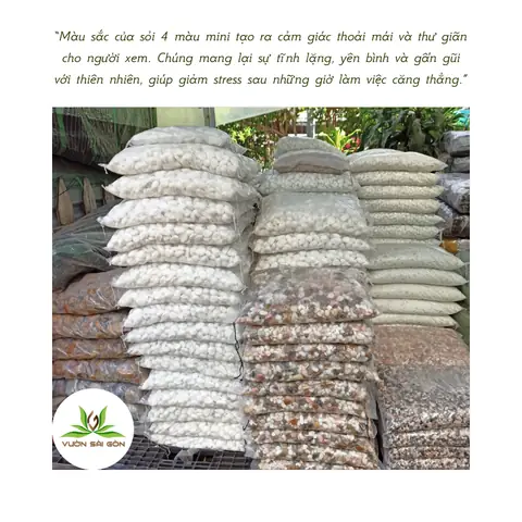 Thường Xuyên Vệ Sinh Đá, Sỏi