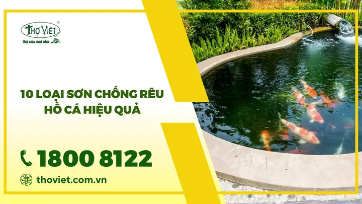 Top 10 Loại Sơn Chống Rêu Hồ Cá Hiệu Quả Nhất Hiện Nay