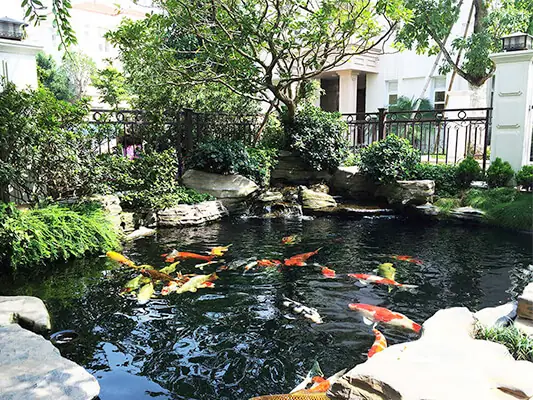 Sơn Chống Rêu Hồ Cá – Chống Thấm Giá Rẻ 247