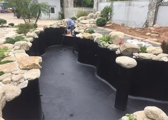 Sơn Đáy Hồ Cá: Hướng Dẫn Chi Tiết Từ A-z Cho Người Mới Bắt Đầu