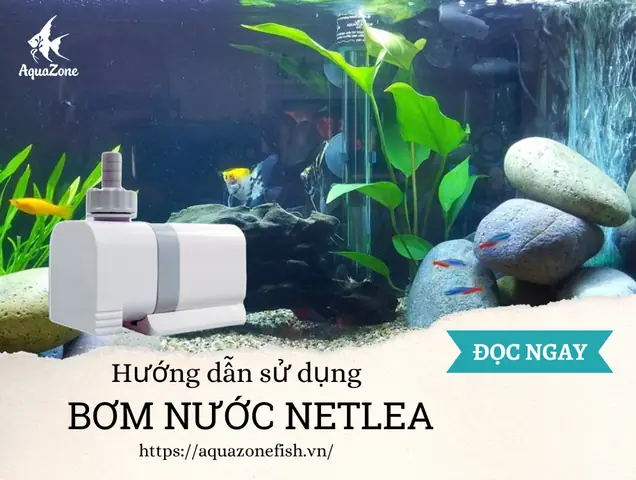 Hướng Dẫn Sử Dụng Máy Bơm Nước Netlea Cho Bể Cá Thủy Sinh ...