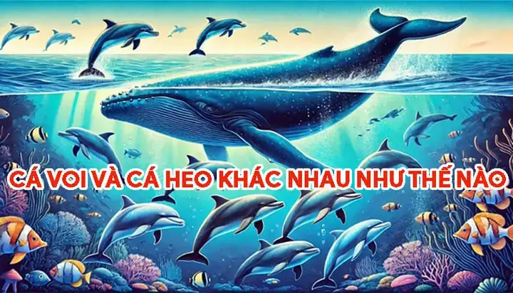 Bảo Tồn: Tại Sao Việc Phân Biệt Lại Quan Trọng? Bảo Tồn: Tại Sao Việc Phân Biệt Lại Quan Trọng?