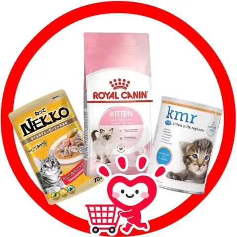 Sữa Royal Canin Cho Chó: Hướng Dẫn Chi Tiết Về Dinh Dưỡng Và Lựa Chọn Sữa Royal Canin Cho Chó: Hướng Dẫn Chi Tiết Về Dinh Dưỡng Và Lựa Chọn