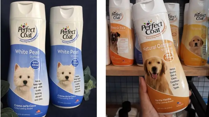 Sữa Tắm Cho Chó Poodle Trắng