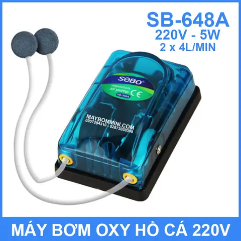 Máy Tạo Sục Oxy – Bán Máy Bơm Mini Hàng Đầu Việt Nam