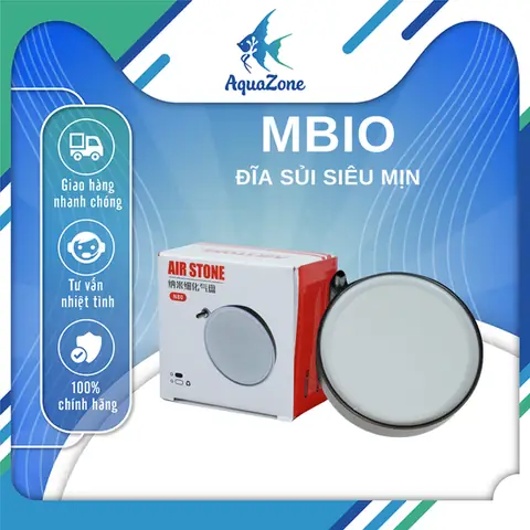Máy Sủi Oxy Cho Bể Cá Cảnh: Hướng Dẫn Chọn & Sử Dụng Hiệu Quả