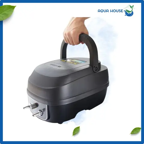 Sủi Oxy Cho Bể Cá