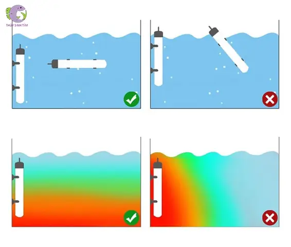 Cách Sử Dụng Sưởi Bể Cá Thủy Tinh Atman Dh-100w