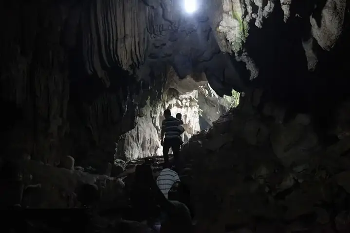 Động Cây Đăng Động Cây Đăng