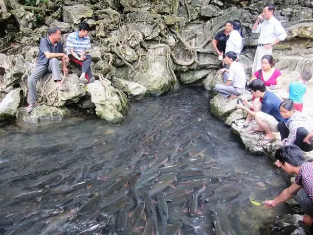 Câu Truyện Dân Gian – Sự Tích Về Suối Cá Thần Câu Truyện Dân Gian – Sự Tích Về Suối Cá Thần