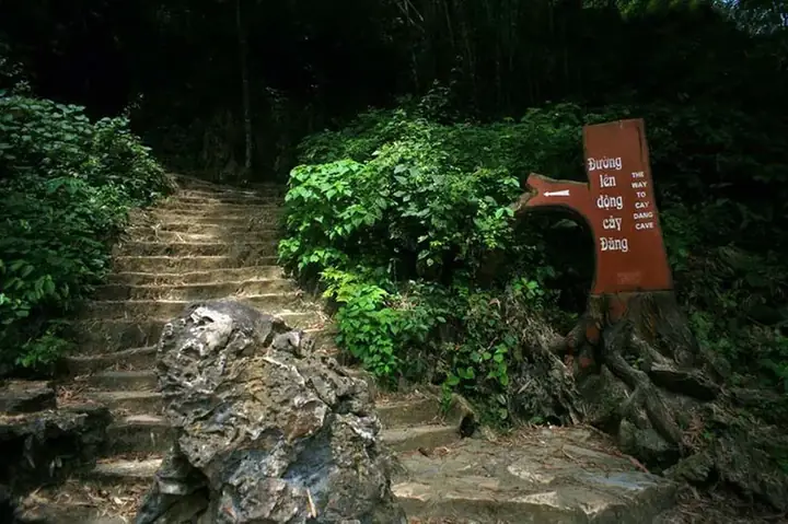 Động Cây Đăng Động Cây Đăng