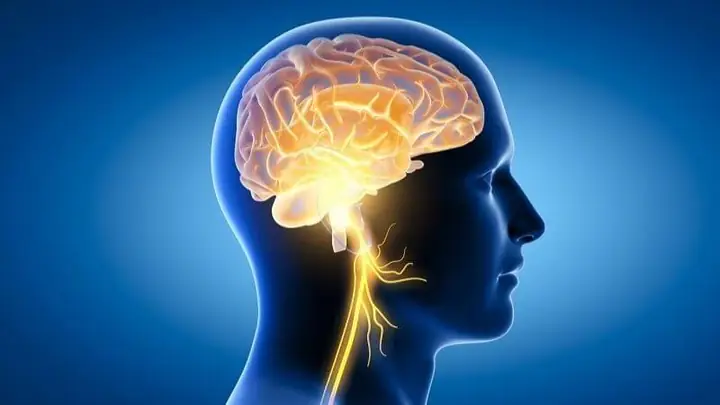 Tăng Cường Sức Khỏe Não Bộ