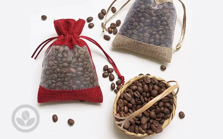 Tác Dụng Lá Thuốc Cá: Những Điều Cần Biết Và Lưu Ý An Toàn