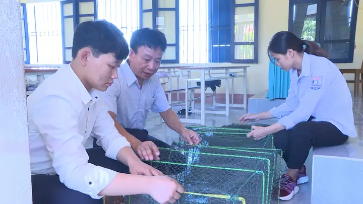 Ngăn Chặn Tác Hại Và Sự Phát Triển Của Cá Dọn Bể - Đề Tài Đạt Giả Ba Thi Nghiên Cứu Khoa Học Cấp Quốc Gia Ngăn Chặn Tác Hại Và Sự Phát Triển Của Cá Dọn Bể - Đề Tài Đạt Giả Ba Thi Nghiên Cứu Khoa Học Cấp Quốc Gia