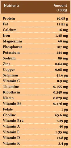 Loi Ich Va Tac Hai Cua Ca Thu Chung Ta Nen Biet De Len Thuc Don Cho Chuan Loi Ich Va Tac Hai Cua Ca Thu Chung Ta Nen Biet De Len Thuc Don Cho Chuan