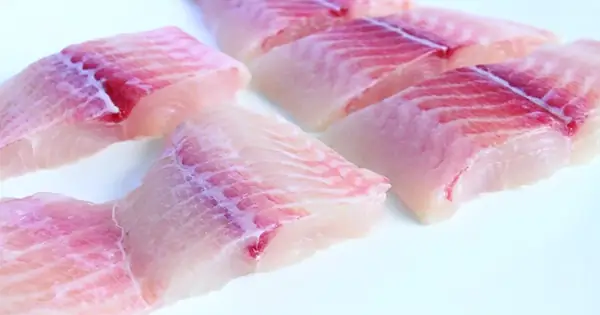 Cá Biển, Mùi Tanh Đầy Ma Mị... - Tuổi Trẻ Online